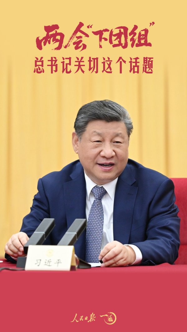 一见·两会“下团组”，总书记关切这个话题