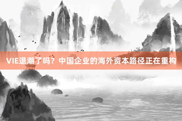 VIE退潮了吗？中国企业的海外资本路径正在重构