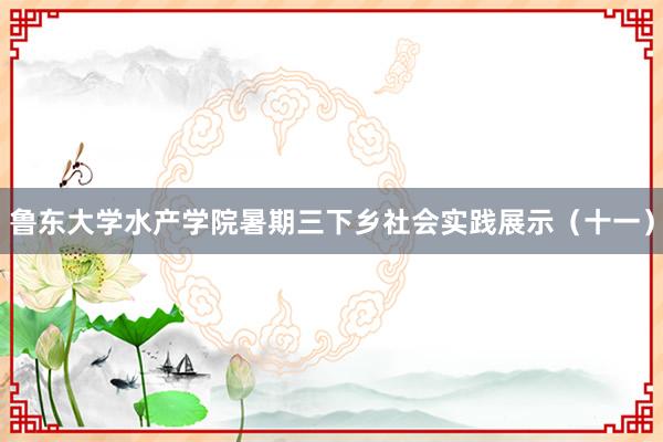 鲁东大学水产学院暑期三下乡社会实践展示（十一）