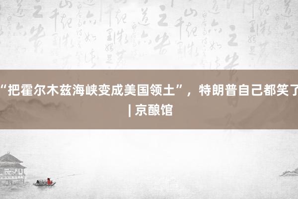 “把霍尔木兹海峡变成美国领土”，特朗普自己都笑了 | 京酿馆