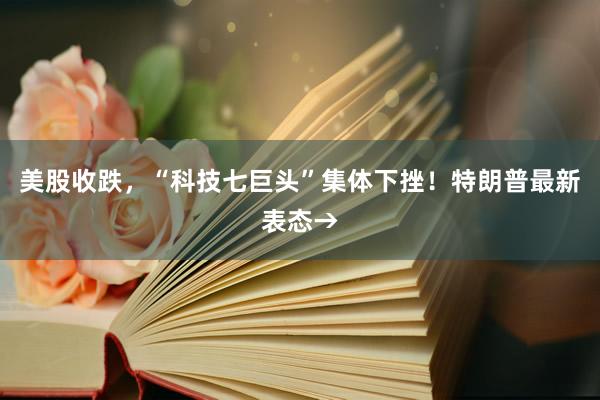 美股收跌，“科技七巨头”集体下挫！特朗普最新表态→